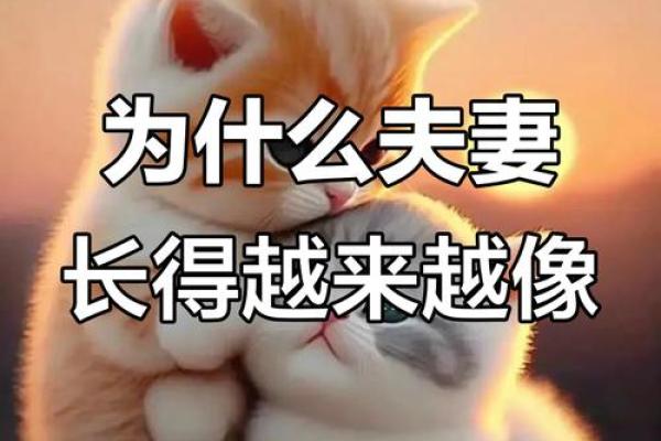 为什么情侣会长得越来越像 为什么情侣长的很像