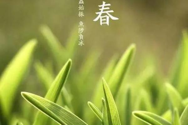 今年2月4号立春的准确时辰和交节时刻查询