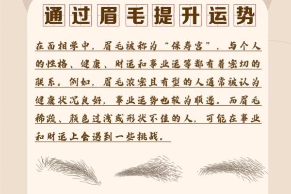 眉毛长有什么说法 眉毛长是什么面相