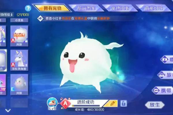 qq炫舞宠物英文名字(炫舞宠物名字大全超拽)