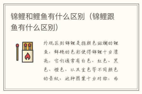 鲤鱼和锦鲤的区别 鲤鱼与锦鲤的区别