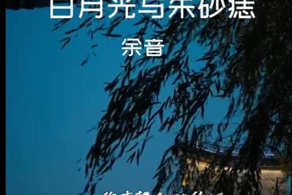 意难平白月光朱砂痣有什么区别 白月光怎抵得上朱砂痣,意中人哪有心上人寒心