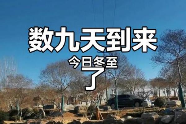 2022年四九从几月几号开始？数九寒冬日历详细解读