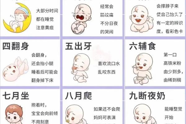 月份大的是哪几个月 哪个月份大月分份小口诀