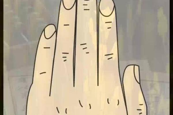 多少人无名指比食指长 有的人无名指比食指长