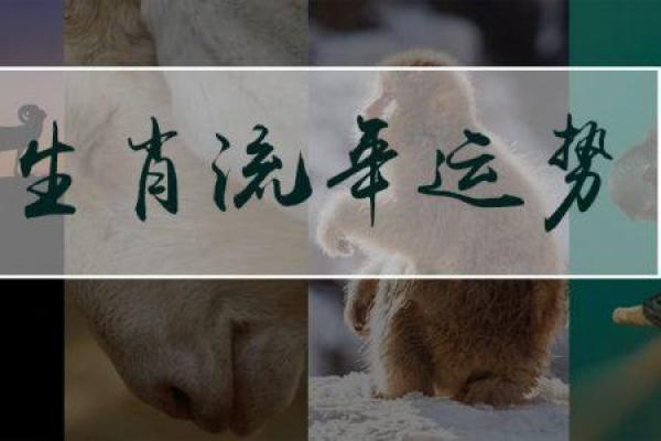 2016年运势(2016年运势走下坡路)