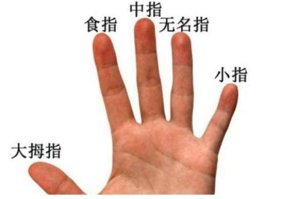 手的无名指比食指长有啥说法 无名指比食指长是富贵还是穷