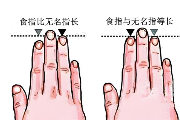 手的无名指比食指长有啥说法 无名指比食指长是富贵还是穷