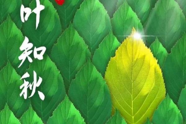 2024立秋是几月几日(2024立秋是几月几日几点几分)
