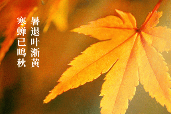 2023几点几分立秋 2023立秋是早立秋还是晚立秋