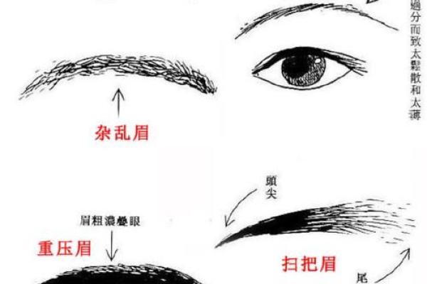 眉毛连一起有什么说法吗 眉毛连一起的人什么性格
