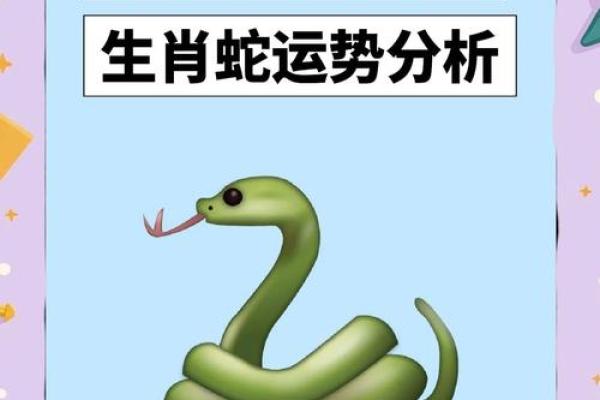 十二生肖蛇年运势(十二生肖蛇年运势2024年运程如何) 十二生肖蛇年运势(十二生肖蛇年运势2024年运程如何)