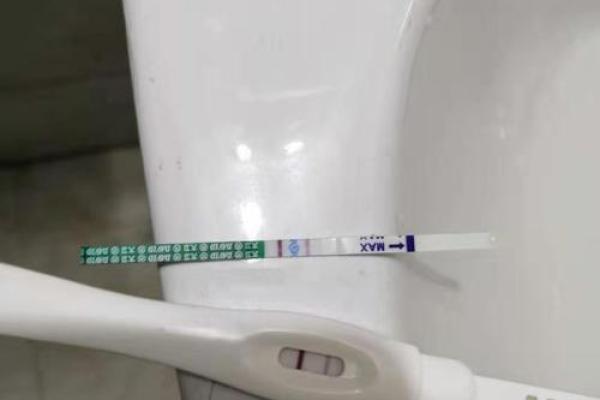六七月份怀孕几月份生 7月份怀孕是6月份受得精吗