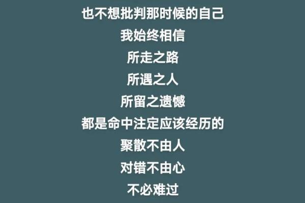 天命六年 天命六年十一月