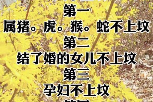 闰二月扫墓有什么讲究和禁忌需要特别注意吗？