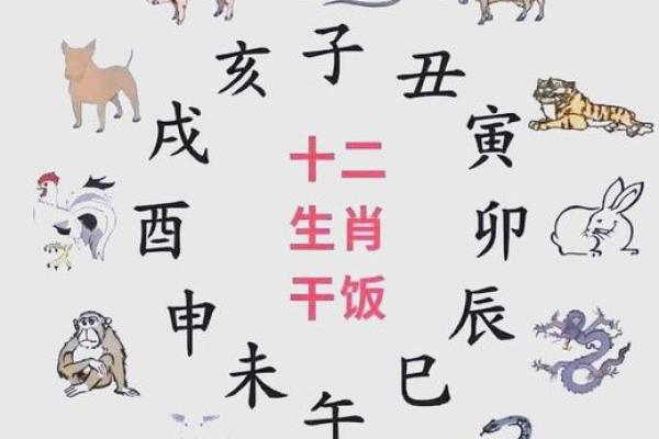 2025年是哪一年天干地支 2025年天干地支是什么年