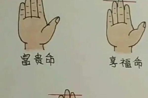 多数人无名指长还是食指长 大多数人无名指比食指长