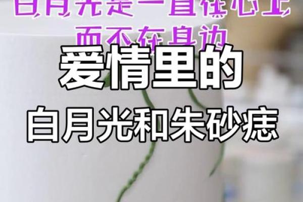 白月光和朱砂痣大结局 白月光与朱砂痣的原型