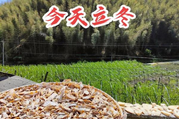 立冬是几月几日2021(立冬是几月几日2021年几点开始)