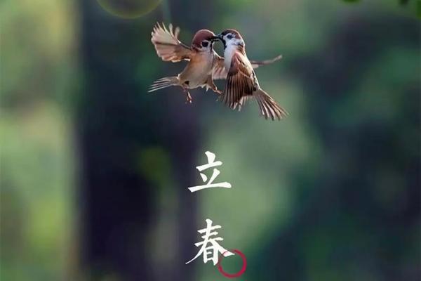 2023立春是几月几日几点