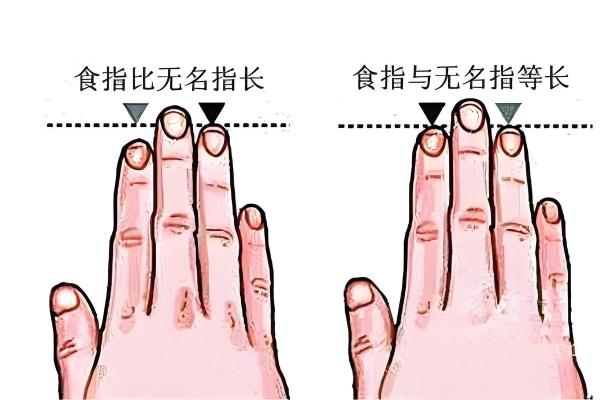 无名指比食指长好还是不好 无名指比食指长是什么性格