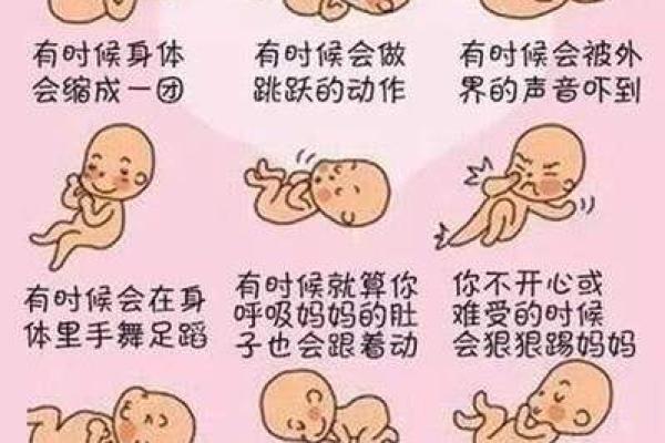 多少个月 多少个月有胎动