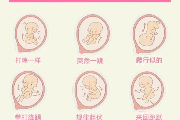 多少个月 多少个月有胎动
