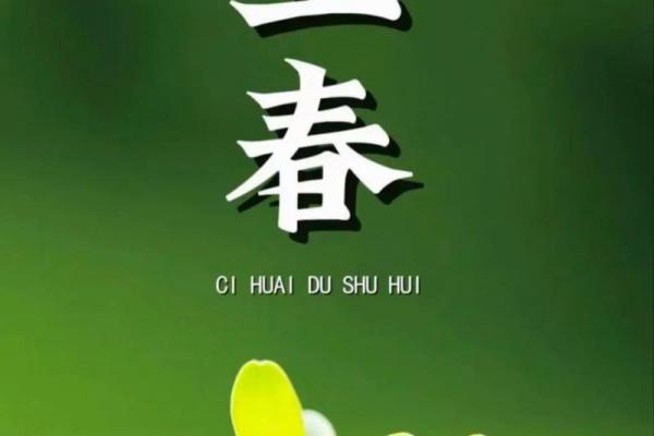 2024年立春几点到几点结束(2024立春是几月几日几点立春)