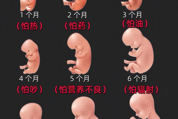 9月初五出生的人叫天胎吗 九月初五生