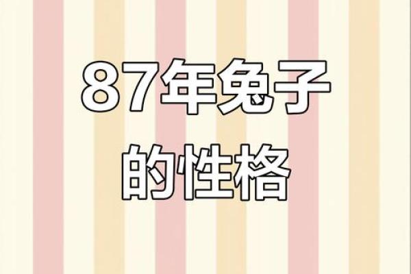 87年兔几月出生最好 87年兔几月出生最好命运 87年兔几月出生最好 87年兔几月出生最好命运