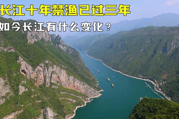 长江十年禁渔从哪一年开始 长江十年禁渔你怎么看