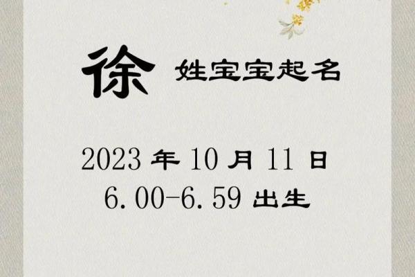 徐姓女孩起名(徐姓女孩起名两个字的)