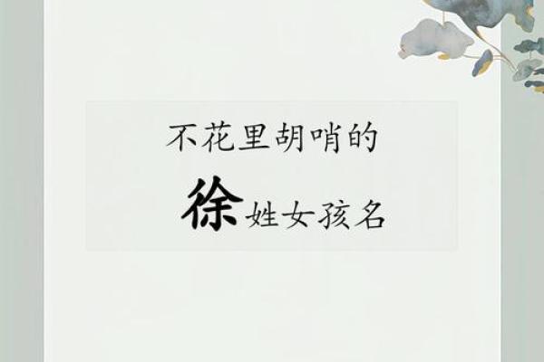 徐姓女孩起名(徐姓女孩起名两个字的)