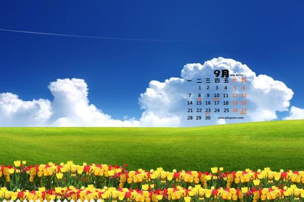 现在是几个月 2020年9月到现在是几个月