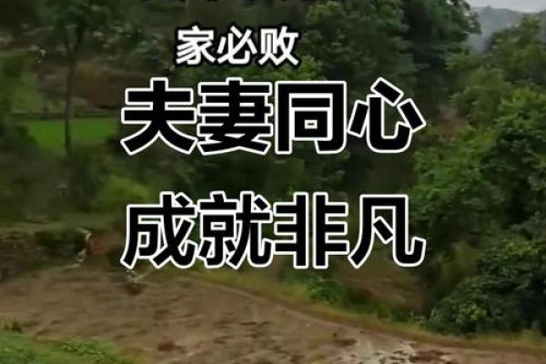 夫妻叫什么 什么叫夫妻