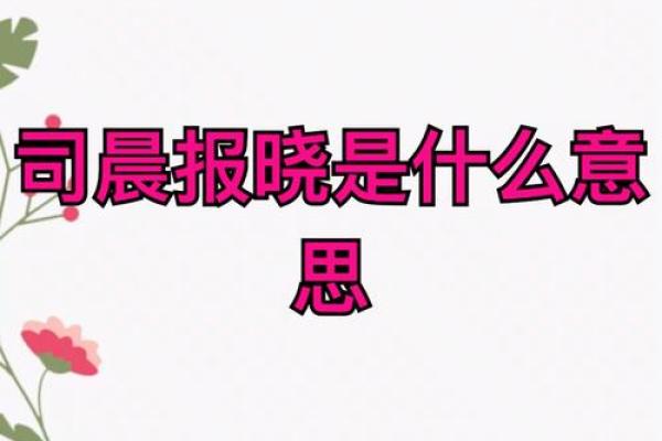 司晨报晓(司晨报晓勤不懈打三个数字)