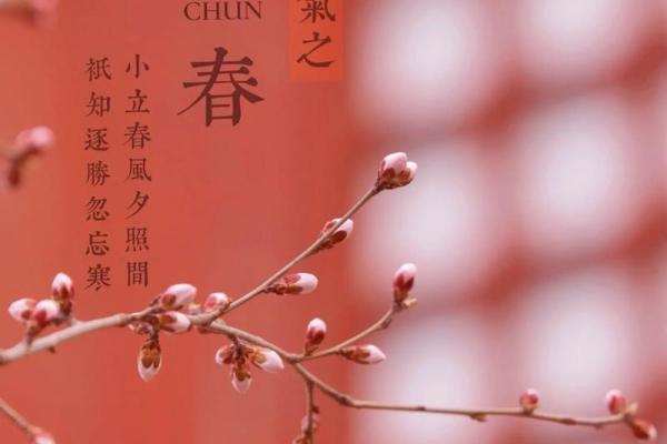 今日立春时间是几点2023年(今日立春时间是几点2023年农历)