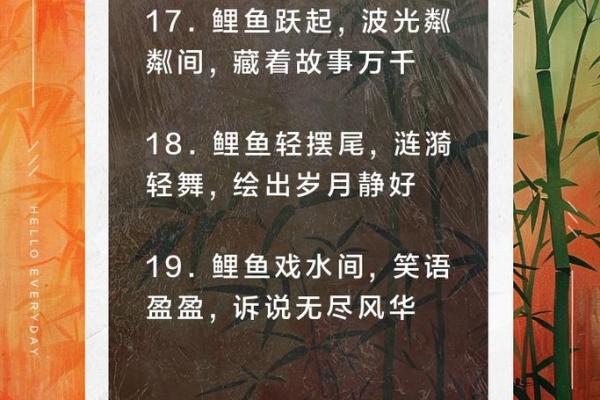 锦鲤的美好寓意 锦鲤的美好寓意文案