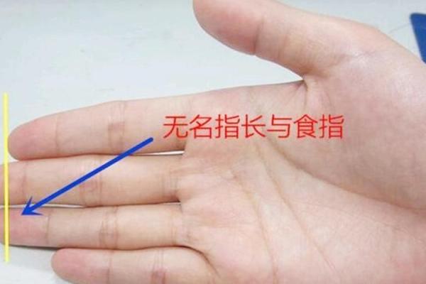 食指中指无名指长短的说法 食指中指无名指长短富贵命图