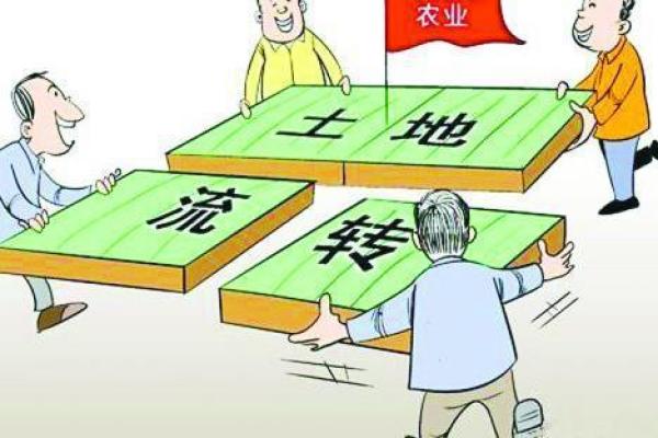 分地是哪一年 改革开放分地是哪一年