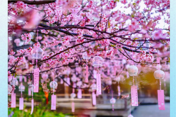 怎么测桃花运 测最近桃花运最准的测试