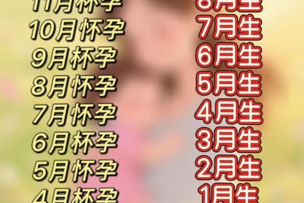 2023年4月出生几月怀孕 2023年农历4月生几月怀孕
