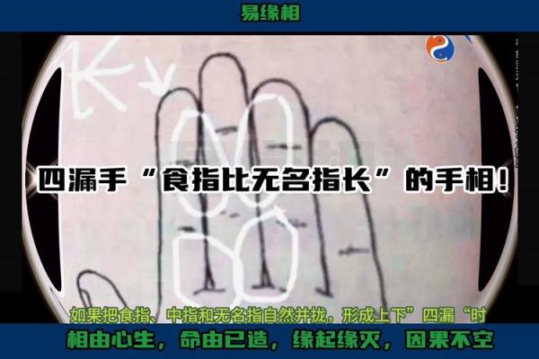 食指跟无名指哪个长最好 食指和无名指长有什么说法