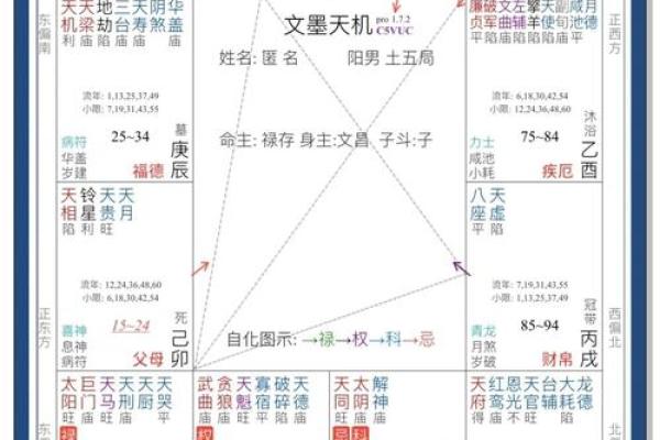 免费紫薇命盘