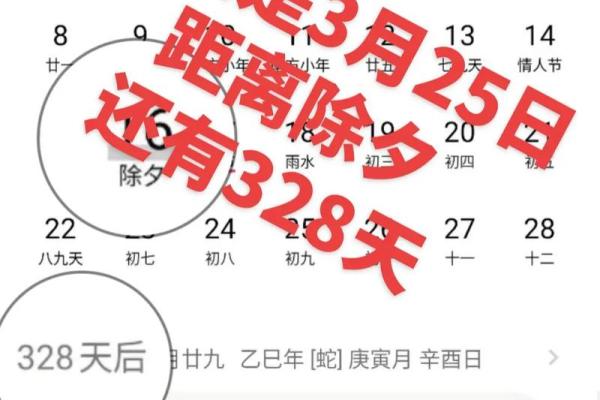 2026年为什么有两个春节(2026年会有两个春节吗)