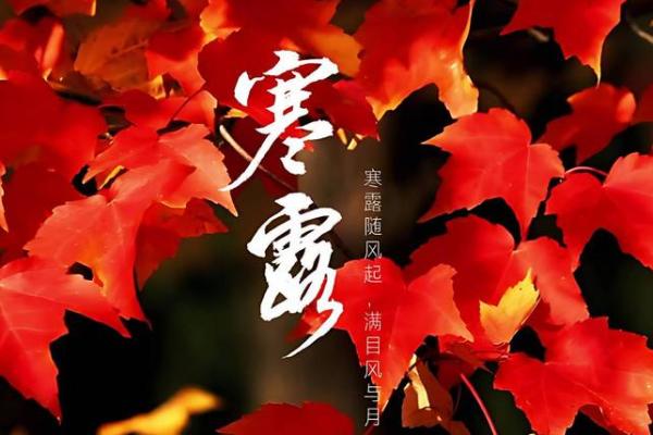 2022年寒露的准确日期及其对应的农历时间查询