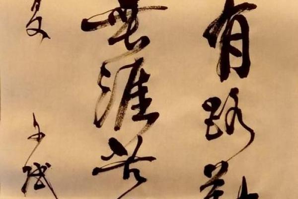 学海无涯打一动物(学海无涯打一动物正确答案)