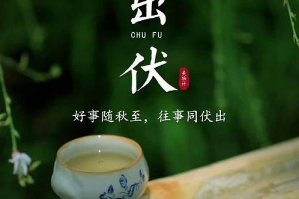 2021年夏天哪天入伏(2021年夏天啥时入伏)