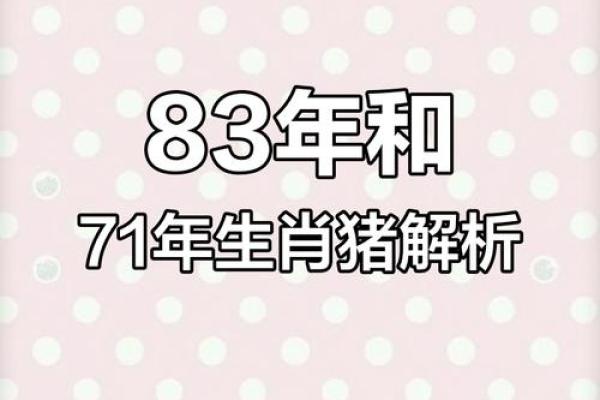 83年猪41岁后十年大运运程(83年猪41岁后十年大运运程解析)