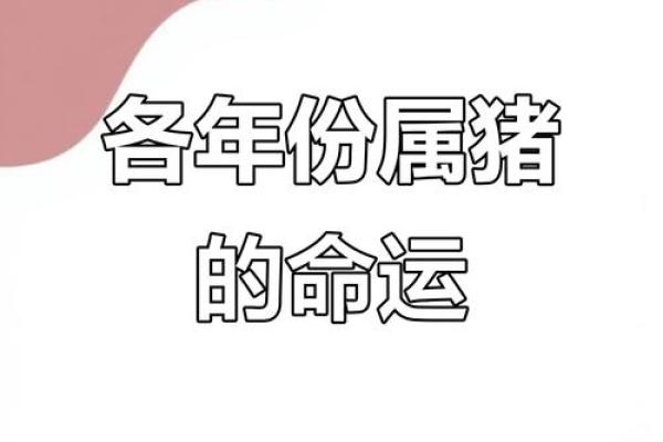 83年猪41岁后十年大运运程(83年猪41岁后十年大运运程解析)